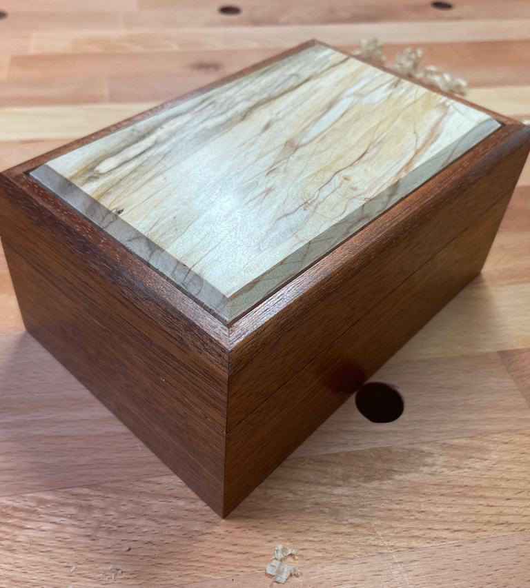 Sapele Beech 1 | Claire Broad Design