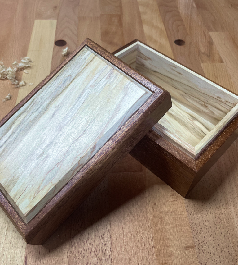 Sapele Beech 3 | Claire Broad Design